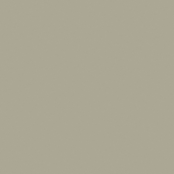 Anodite Pale Gold 541 Shade